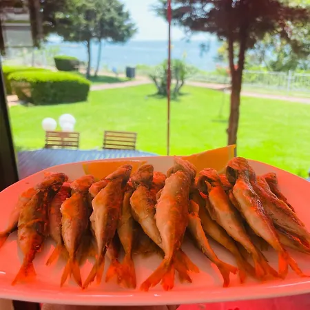 Sun Palace Appartement