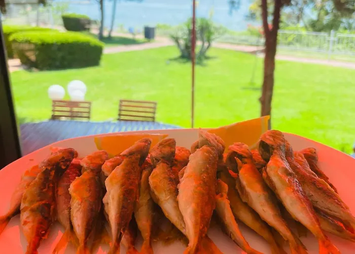 Sun Palace Apartment